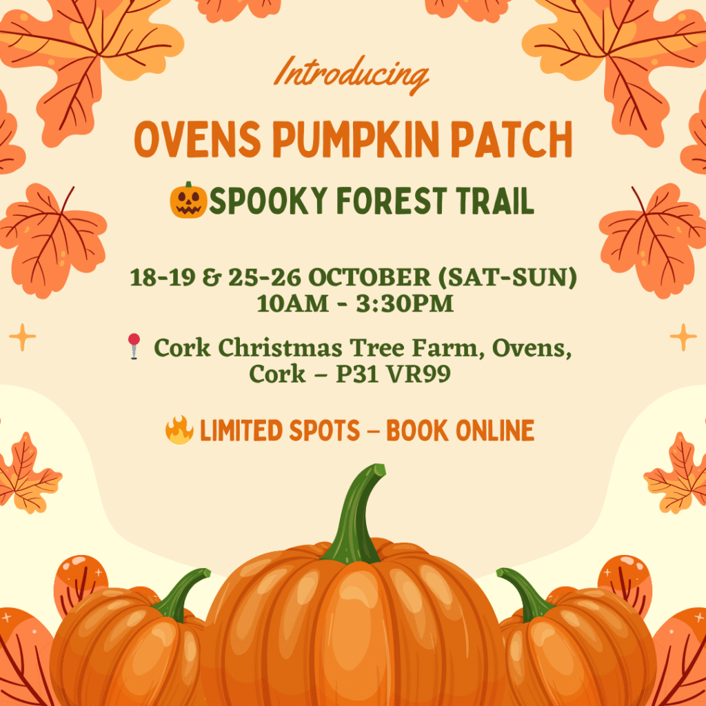 Home Ovens Pumpkin Patch Cork