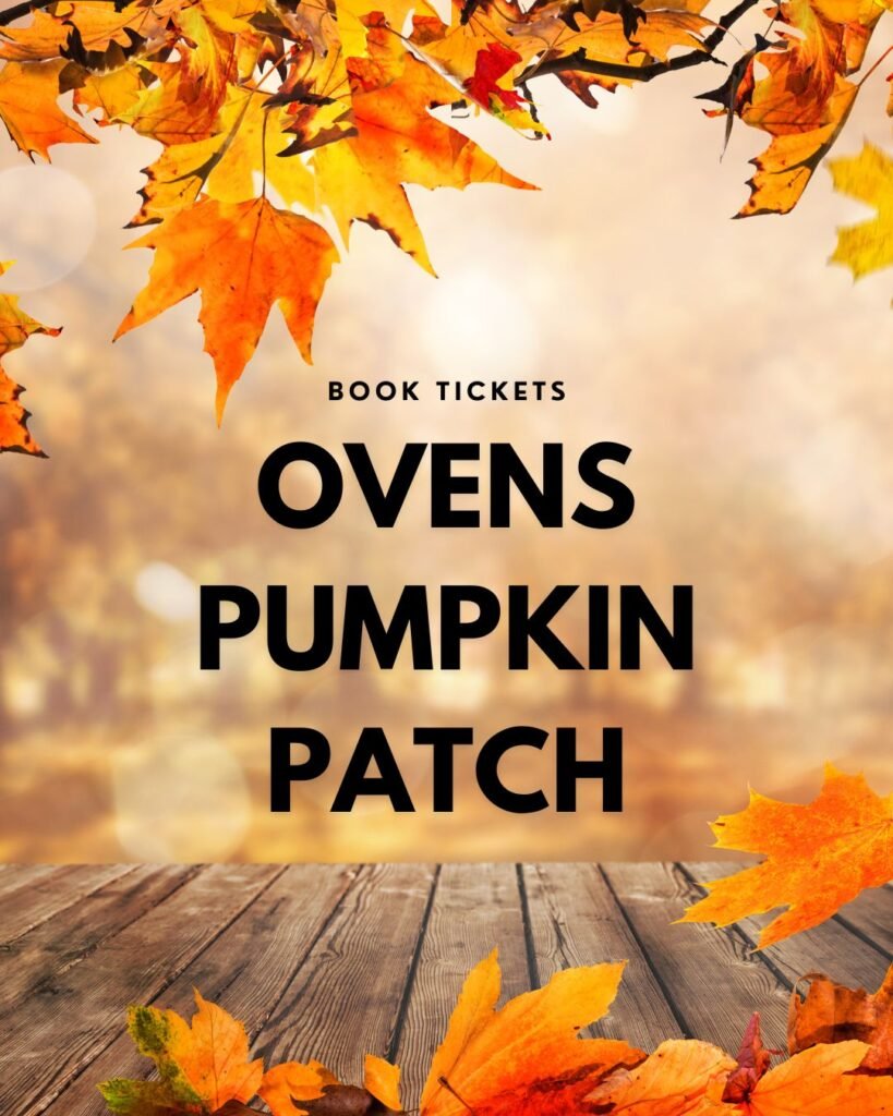 About Book Tickets For Ovens Pumpkins Patch In Cork