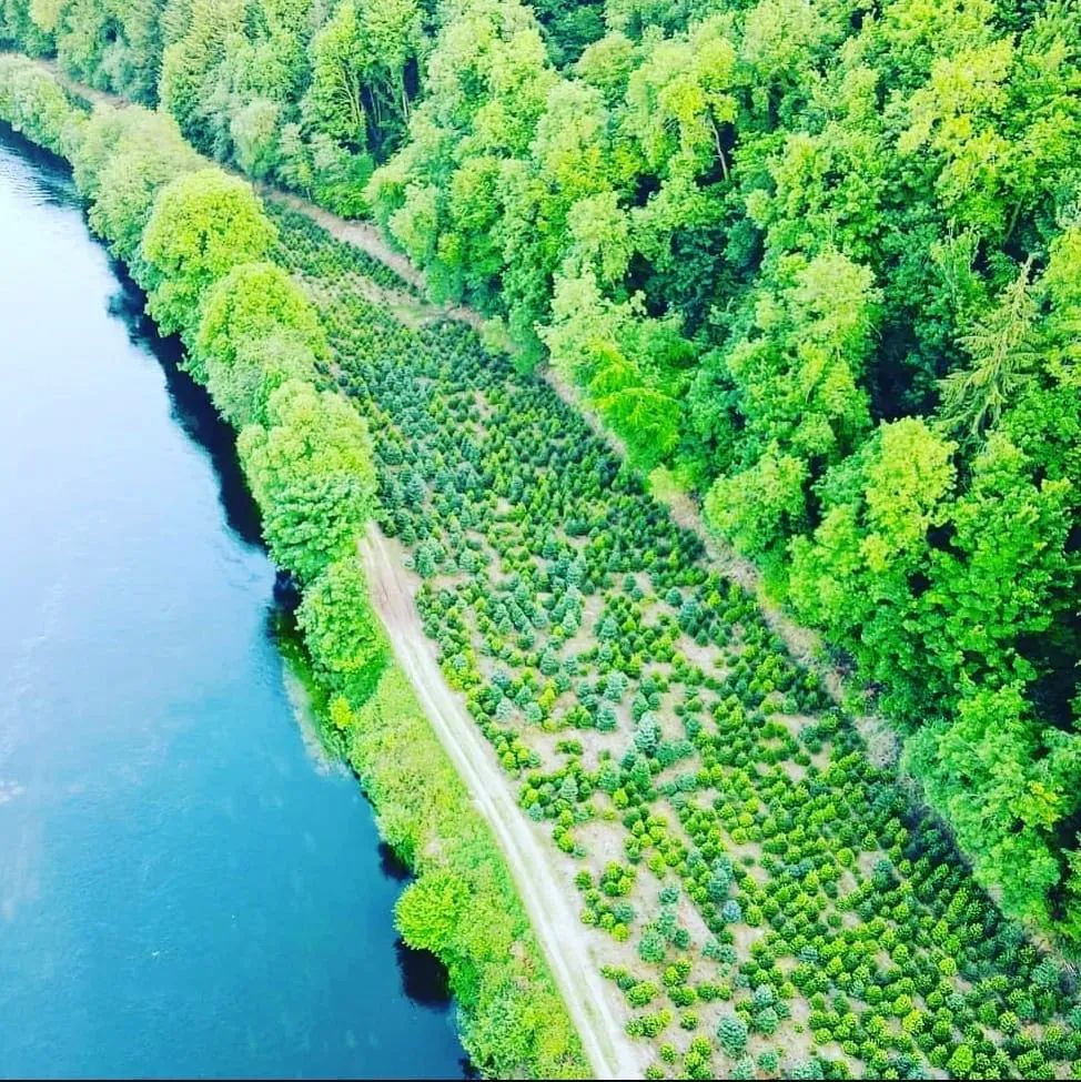 About Pumpkin Patch In Cork